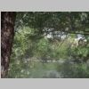 River 2.jpg